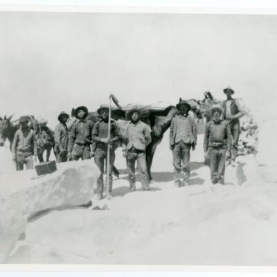 Print, Photographic