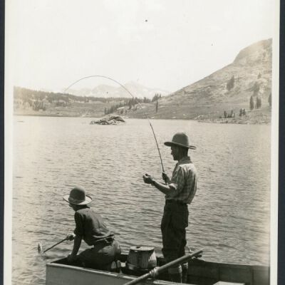 Print, Photographic