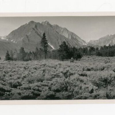 Print, Photographic
