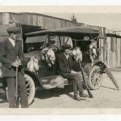 Print, Photographic