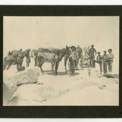 Print, Photographic