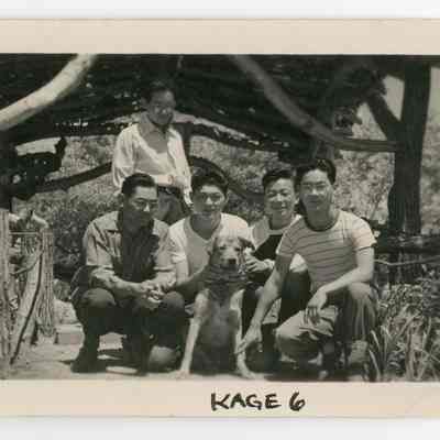 Print, Photographic