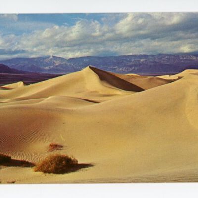 Print, Postcard