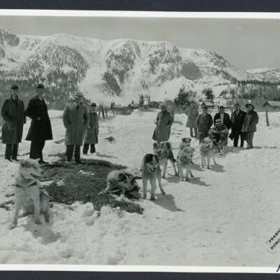Print, Photographic
