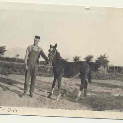 Print, Photographic