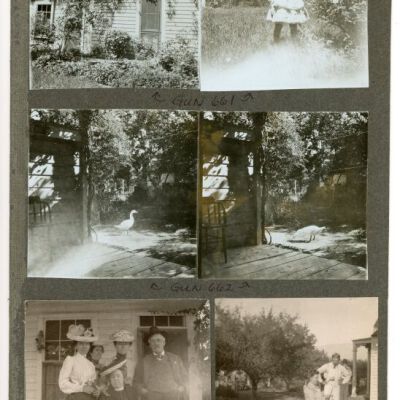 Print, Photographic