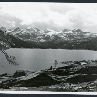 Print, Photographic