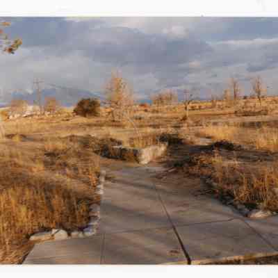 Print, Photographic