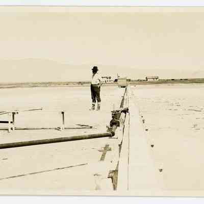 Print, Photographic
