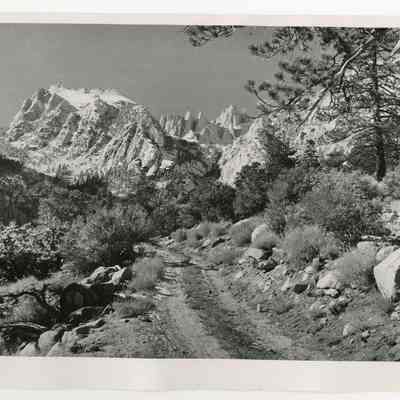 Print, Photographic