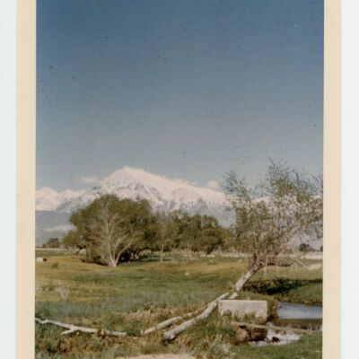 Print, Photographic