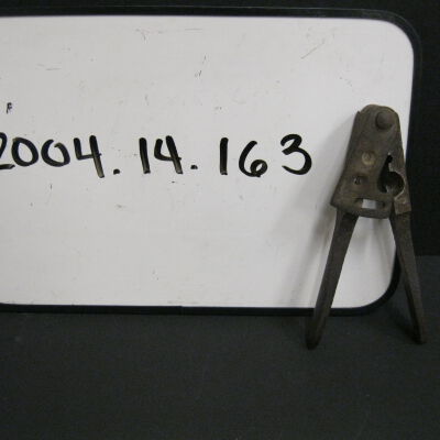 Mold, Bullet