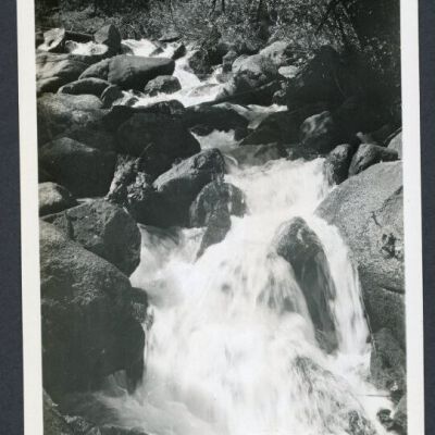 Print, Photographic
