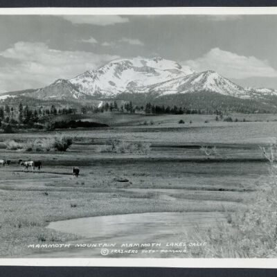 Print, Photographic