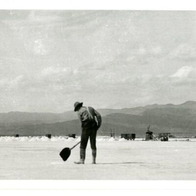 Print, Photographic