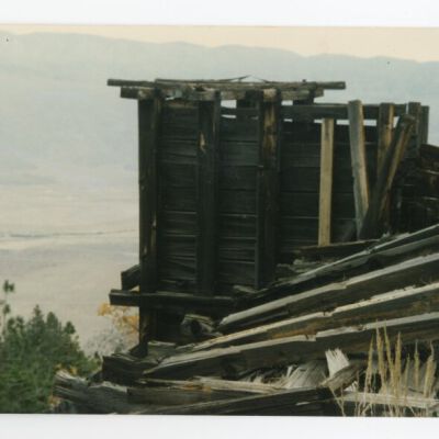 Print, Photographic