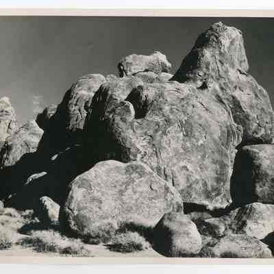 Print, Photographic