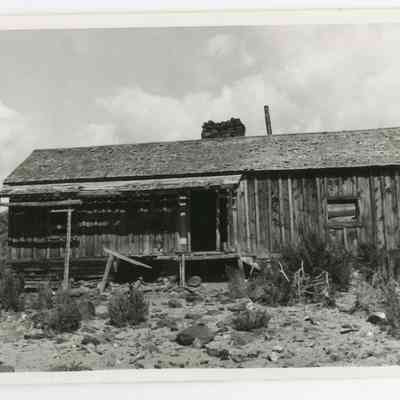 Print, Photographic