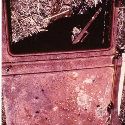 Print, Photographic