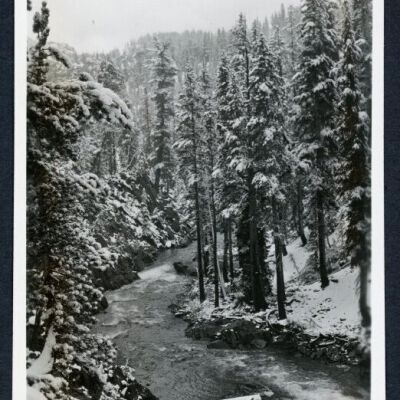 Print, Photographic