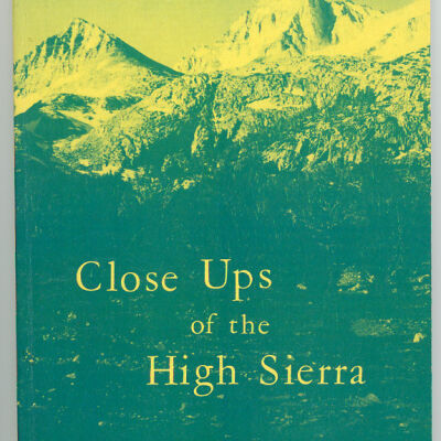 Close Ups of the High Sierra