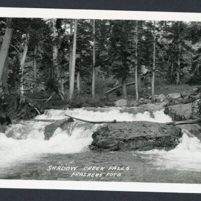 Print, Photographic