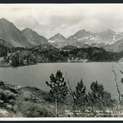Print, Photographic