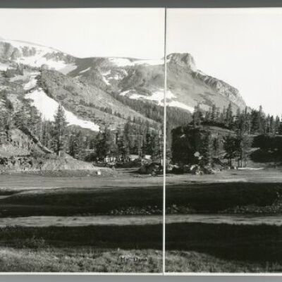 Print, Photographic