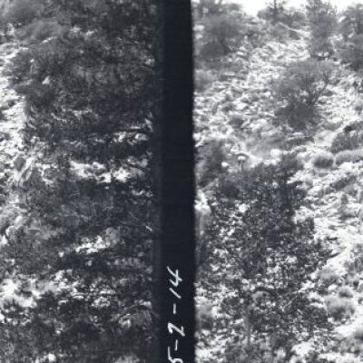 Negative