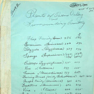 Manuscript