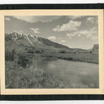 Print, Photographic