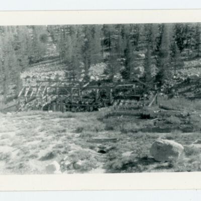 Print, Photographic
