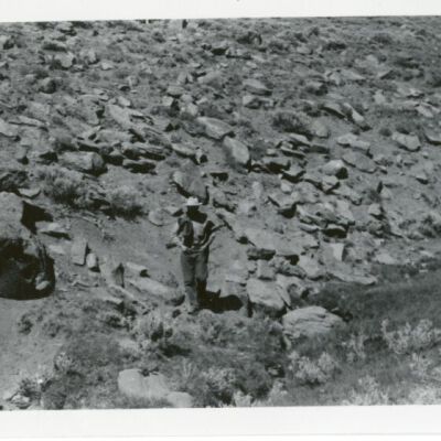 Print, Photographic