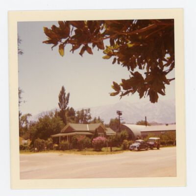 Print, Photographic