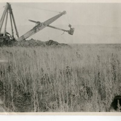 Print, Photographic