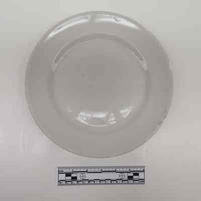 Plate