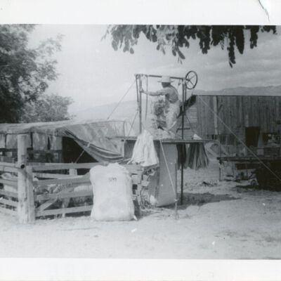 Print, Photographic