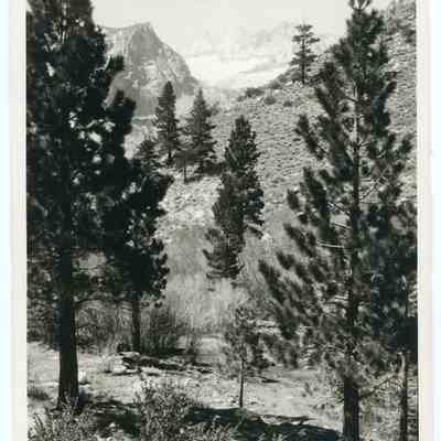 South Fork, Big Pine Creek