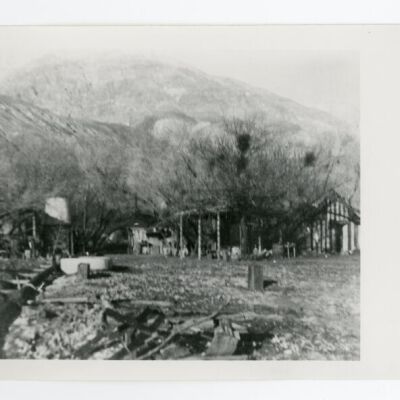Print, Photographic