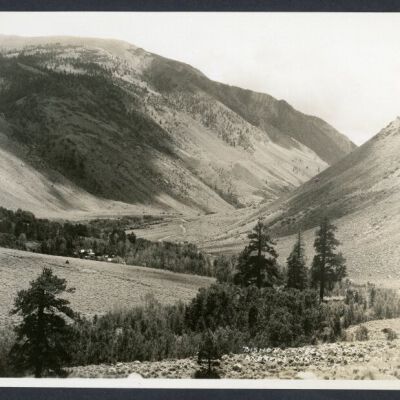 Print, Photographic