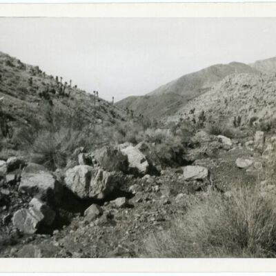 Print, Photographic