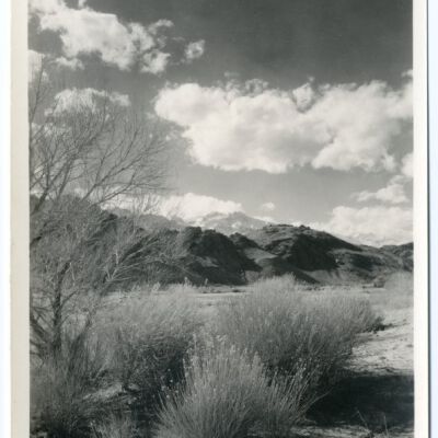 Print, Photographic