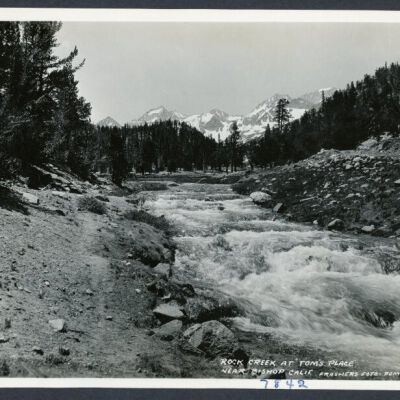 Print, Photographic