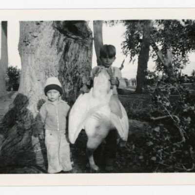 Print, Photographic