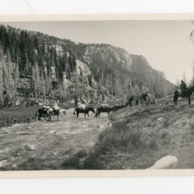Print, Photographic