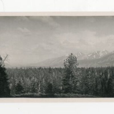 Print, Photographic