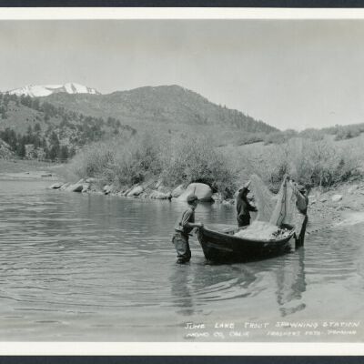 Print, Photographic