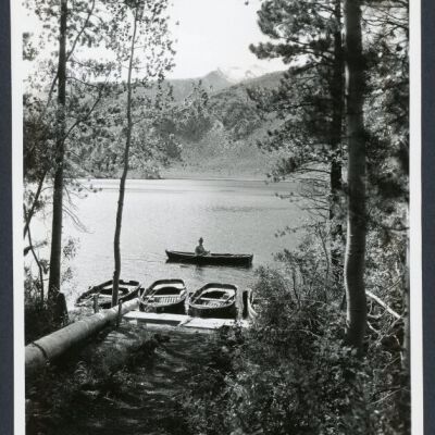 Print, Photographic