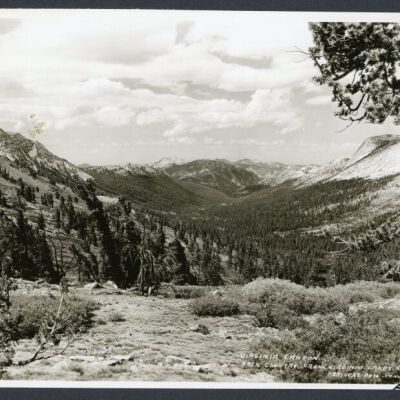 Print, Photographic