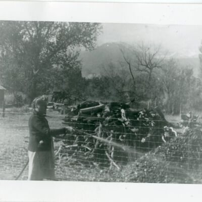 Print, Photographic